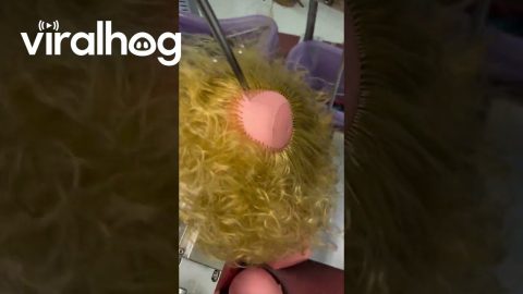 Hair Put On Doll Head || ViralHog