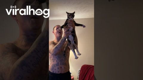 Boyfriend Attempts To Exorcise Cat's Demon || ViralHog