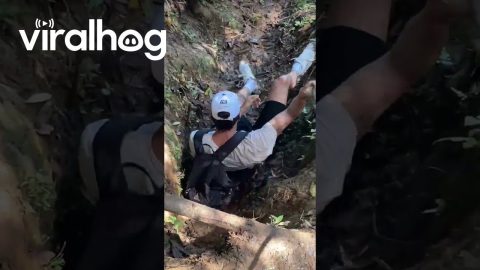 Man Feeling Goofy Jumps Into Muddy Hole || ViralHog