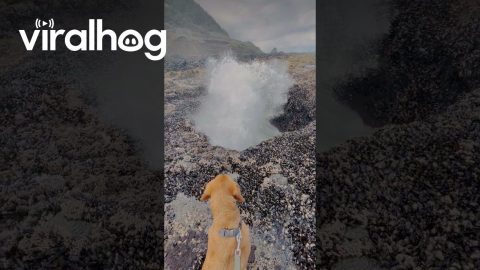 Soaked By Water At Thor's Well || ViralHog