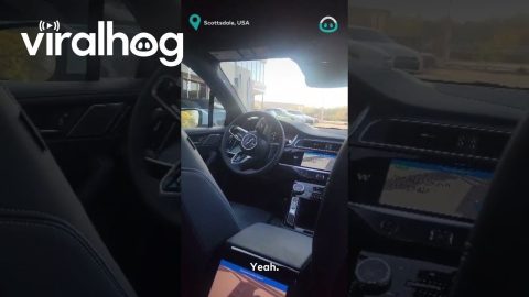 Self-Driving Car Traps Passenger || ViralHog