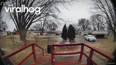 Woman Slides Down Icy Steps || ViralHog