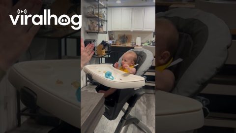 Dad's Uninvited Singing Is Not Appreciated || ViralHog