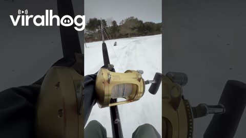 Woman Goes Sledding With Boogie Board And Fishing Pole || ViralHog