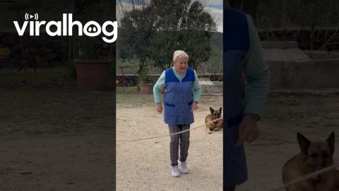 82-Year-Old Woman's Jump Rope Skills || ViralHog