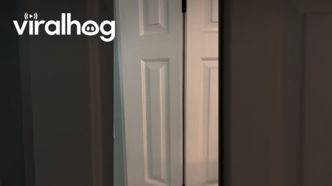 Apartment Comes With a Closet-Kitchen || ViralHog