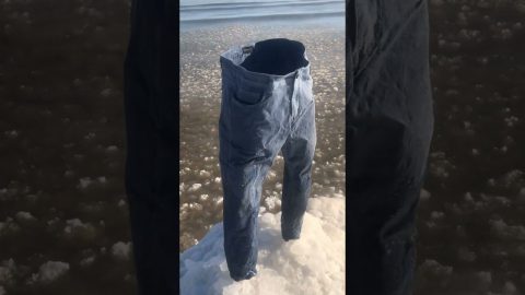 The Pants are All That Was Left || ViralHog
