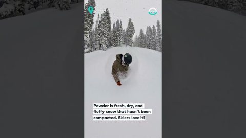 Snowboarding In Two Feet Of Powder || ViralHog