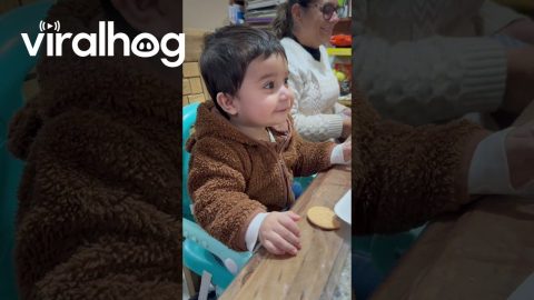 Baby's Chuckle Makes Family Erupt In Laughter || ViralHog