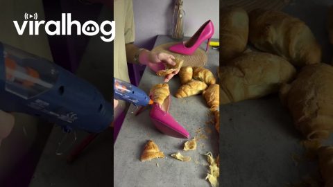 Croissant Shoes || ViralHog