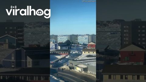 Timelapse of Ice Flowing Through Nuuk Fjord || ViralHog