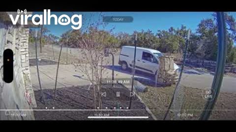 Mail Driver Demolishes Stone Mailbox || ViralHog