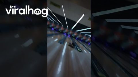 Man Throws Bowling Ball Into Wrong Lane || ViralHog