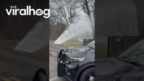 Police Respond To Burst Water Main || ViralHog