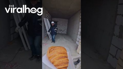 Drone Delivers Croissant To Random Workers || ViralHog
