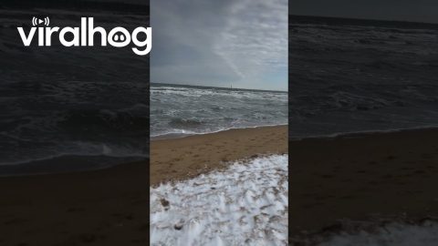 Snow Blankets Virginia Beach || ViralHog