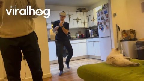 VR Boxer Accidentally Punches Wall || ViralHog