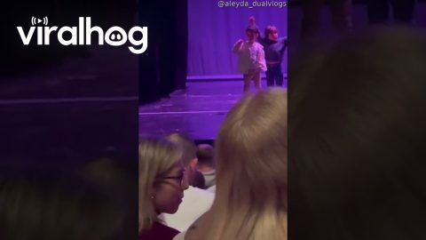 Son Counts Rows To Find Parents At Show || ViralHog