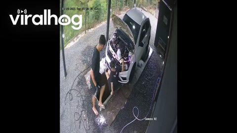 Car Washer Steps Into Water Chute || ViralHog