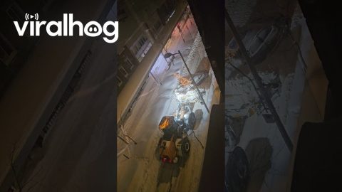 Car Gets Special Ride From Snow Remover || ViralHog