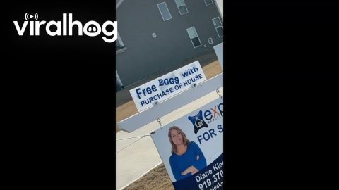House On The Market Sold With Free Eggs || ViralHog