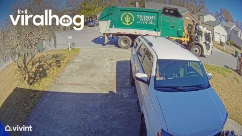 Garbage Truck Throws Away Trash Bin || ViralHog
