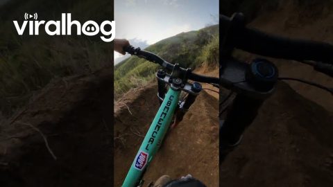 Bikers Argue Over Right Of Way On Trail || ViralHog