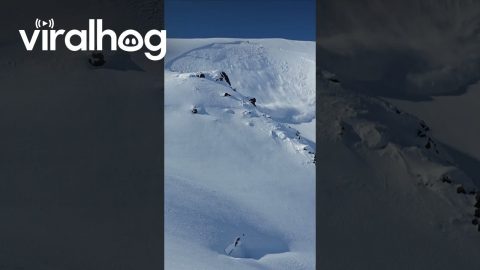 Skier Triggers Massive Avalanche || ViralHog