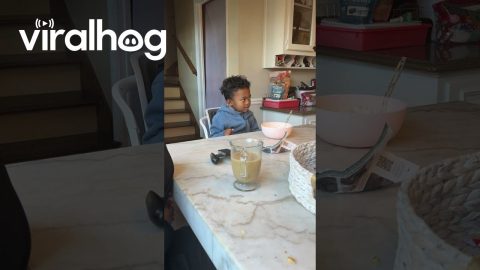 Little Drama King || ViralHog