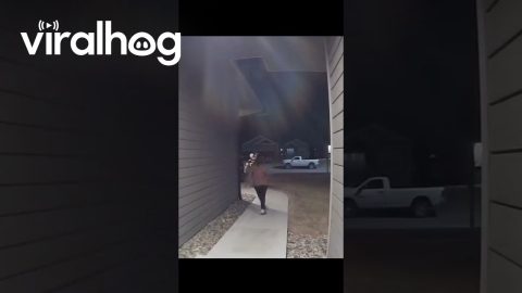Woman Trips Walking Out Of House || ViralHog