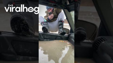Land Rover Gets Stuck in River || ViralHog