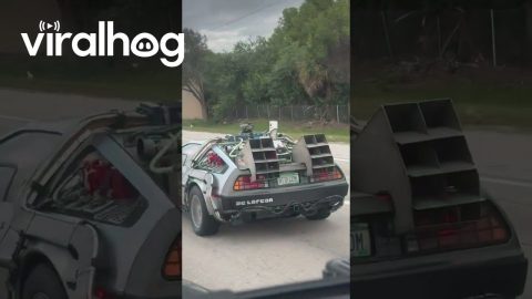 DeLorean Hits 87 MPH || ViralHog