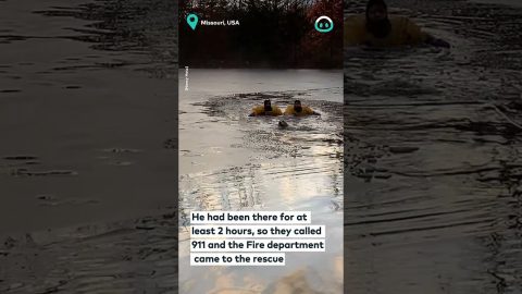 Fire Dept Rescues Dog || ViralHog