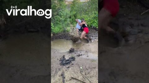 Jump Across Muddy Puddle Ends in a Filthy Fall || ViralHog