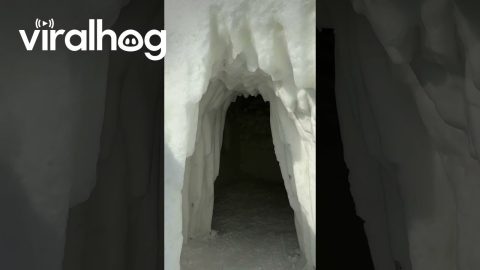 Finding Surprises In The World’s Largest Snow Maze || ViralHog