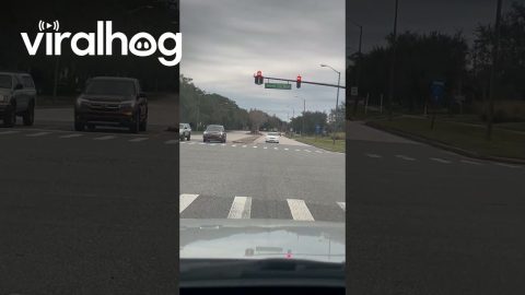 Wrong-Way Driver Slowly Reverses Away From Intersection || ViralHog