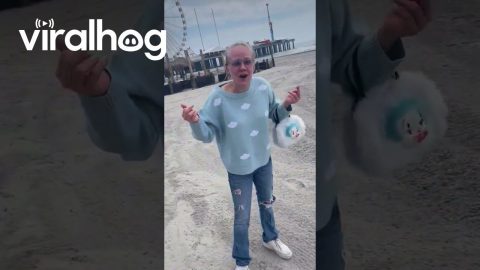 Seagulls Want This Woman's Oreos || ViralHog