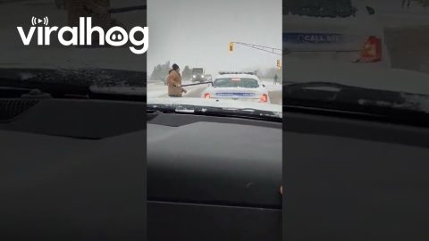 Man Clears Off Back Window Of Canadian Police Cruiser || ViralHog