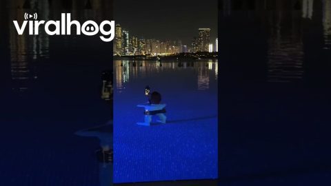 Optical Illusion Hilariously Shrinks Swimming Man || ViralHog