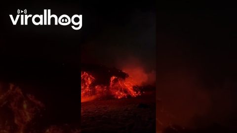 Lava Meets Snow On Mount Etna || ViralHog