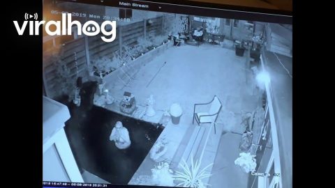 Grandma Goes For A Late Night Dip || ViralHog
