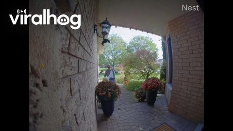 Woman Stumbles While Putting Up Halloween Decorations || ViralHog