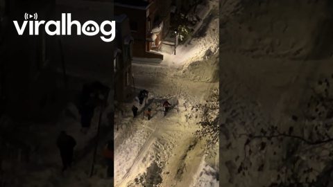 People Skiing on City Street After a Snowstorm || ViralHog