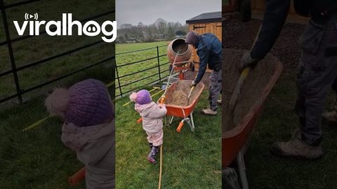 Youngster Helps With Landscaping || ViralHog