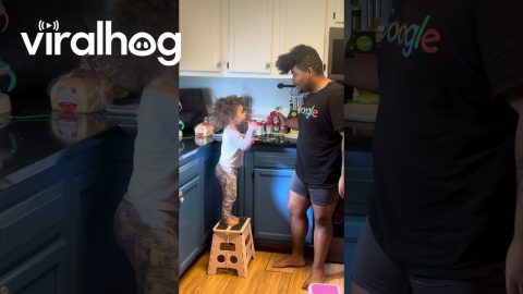 Teaching Toddler To Say Paprika || ViralHog