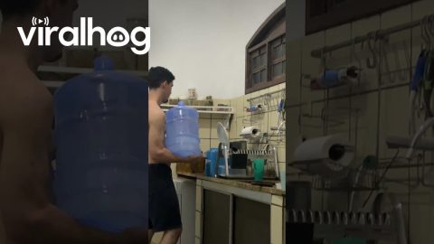 Man Kicks Plate While It's Falling || ViralHog