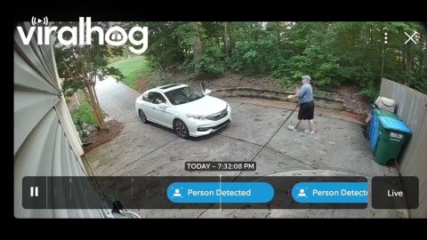 Pizza Delivery Man Goes The Extra Mile For Sick Customer || ViralHog