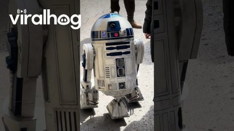 When R2-D2 Realizes He Can't Climb Stairs || ViralHog
