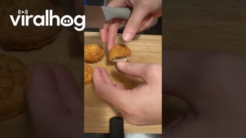 Chicken Seemingly Sold Separately Of Empty Nuggets || ViralHog