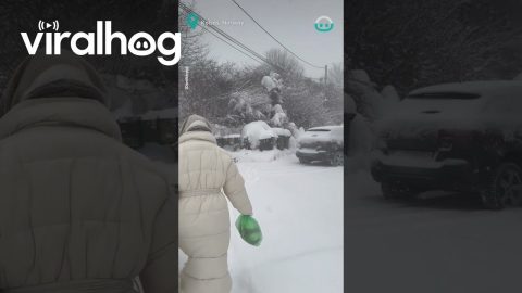 Snowy Norwegian Garbage Run || ViralHog